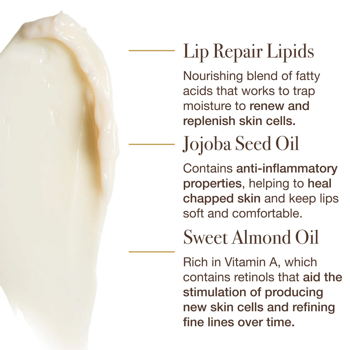 The Dream Slip- Overnight Lip Mask